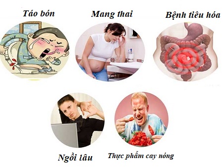 nguyên nhân bệnh trĩ