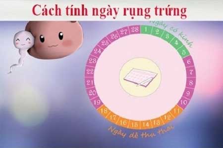 cách tính ngày rụng trứng chính xác