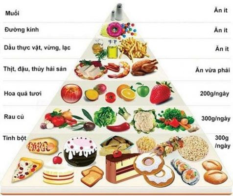 Phụ Nữ Mang Bầu 3 Tháng Đầu Nên Ăn Gì Để Thai Nhi Phát Triển Khỏe Mạnh?