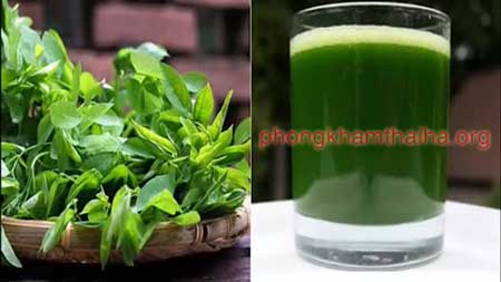 nước sinh tố rau ngót